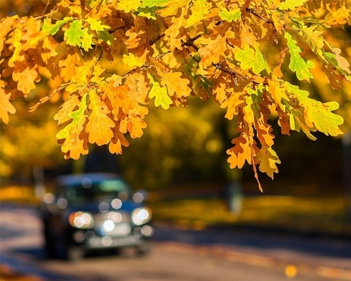 Na co zwrócić szczególną uwagę, prowadząc samochód jesienią?